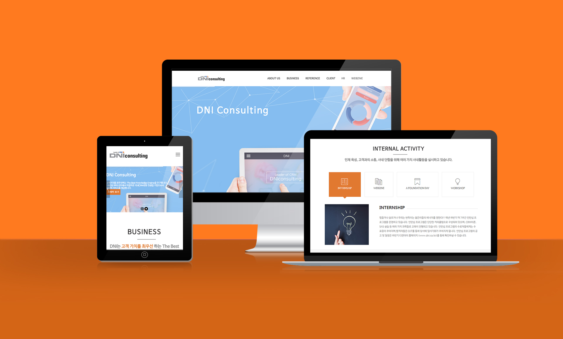 DNI Consulting Websit 